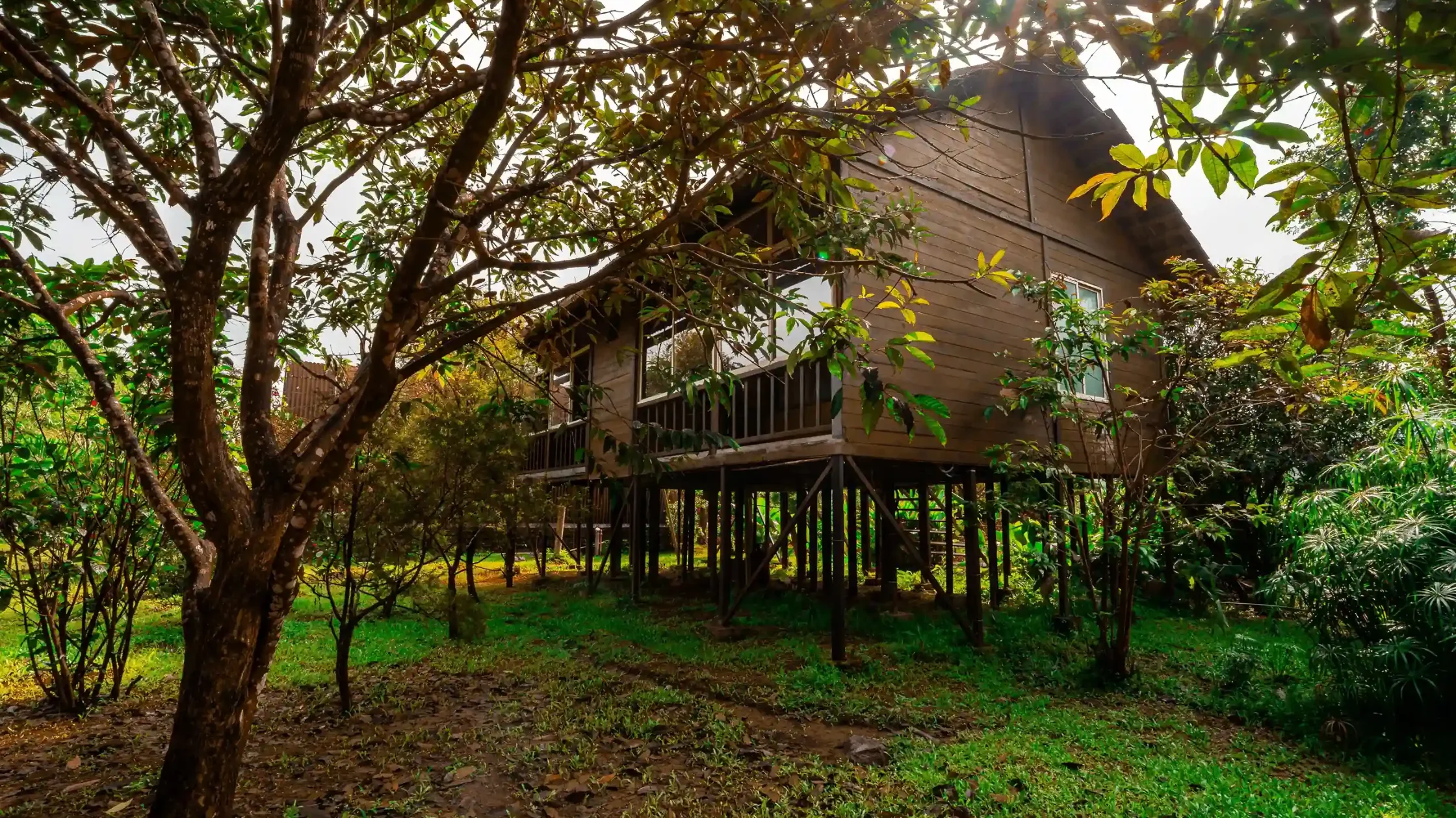 what-makes-a-good-nature-stay-in-sakleshpur-a-traveller-s-checklist